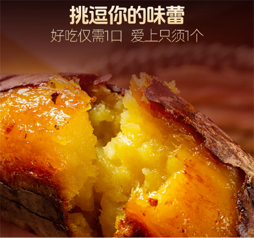 �Żݻ�������� -��ҳ