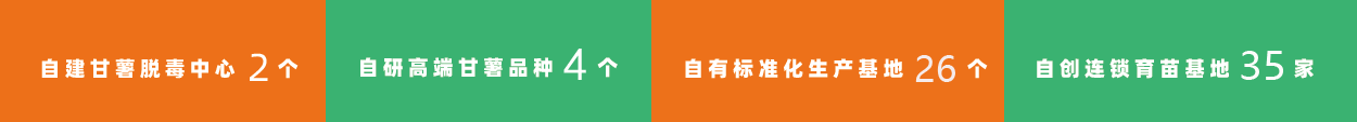 indexbanner