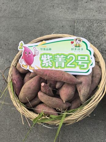 �Żݻ�������� -��ҳ