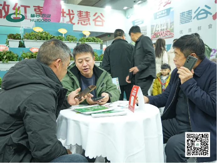 �Żݻ�������� -��ҳ