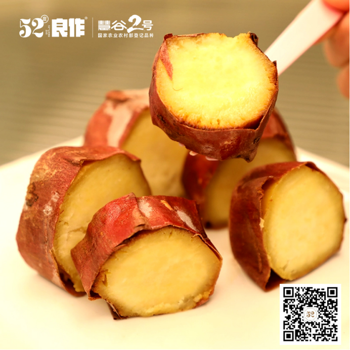 �Żݻ�������� -��ҳ
