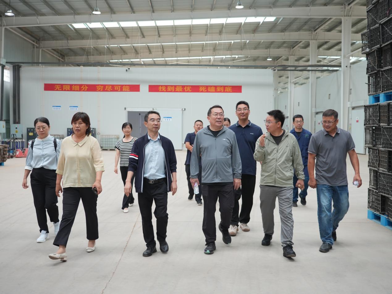 �Żݻ�������� -��ҳ