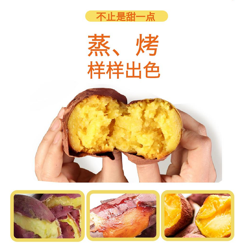 �Żݻ�������� -��ҳ