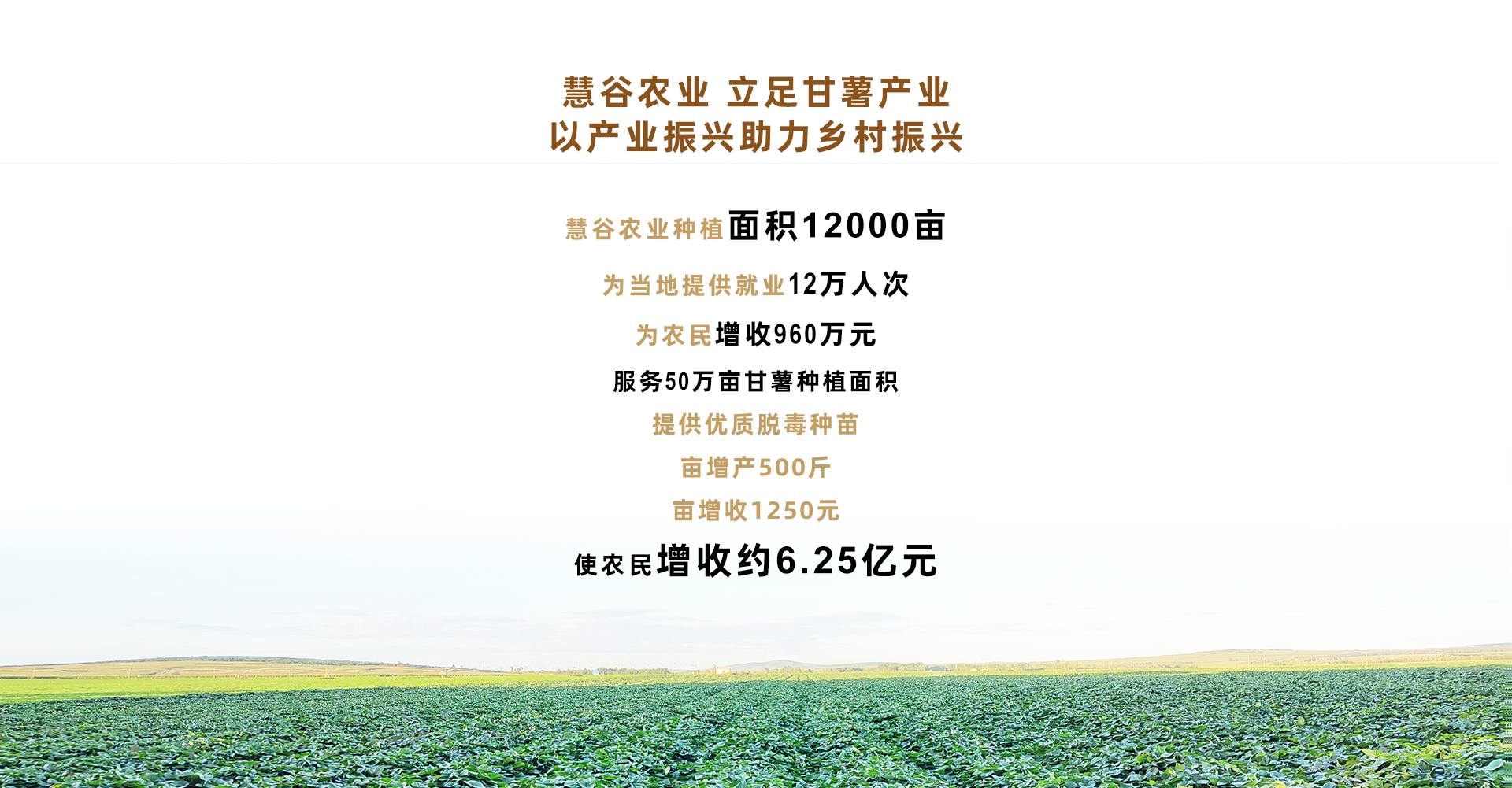 �Żݻ�������� -��ҳ
